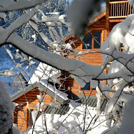 Otel Bereg 2*