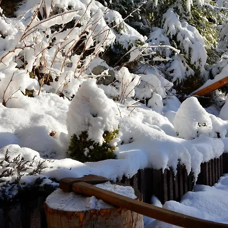 Bereg Bukovel